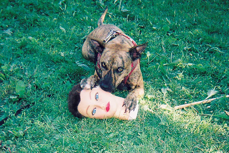 joyce manor cody reseñas discos música por rogelio cejudo blog indie rock