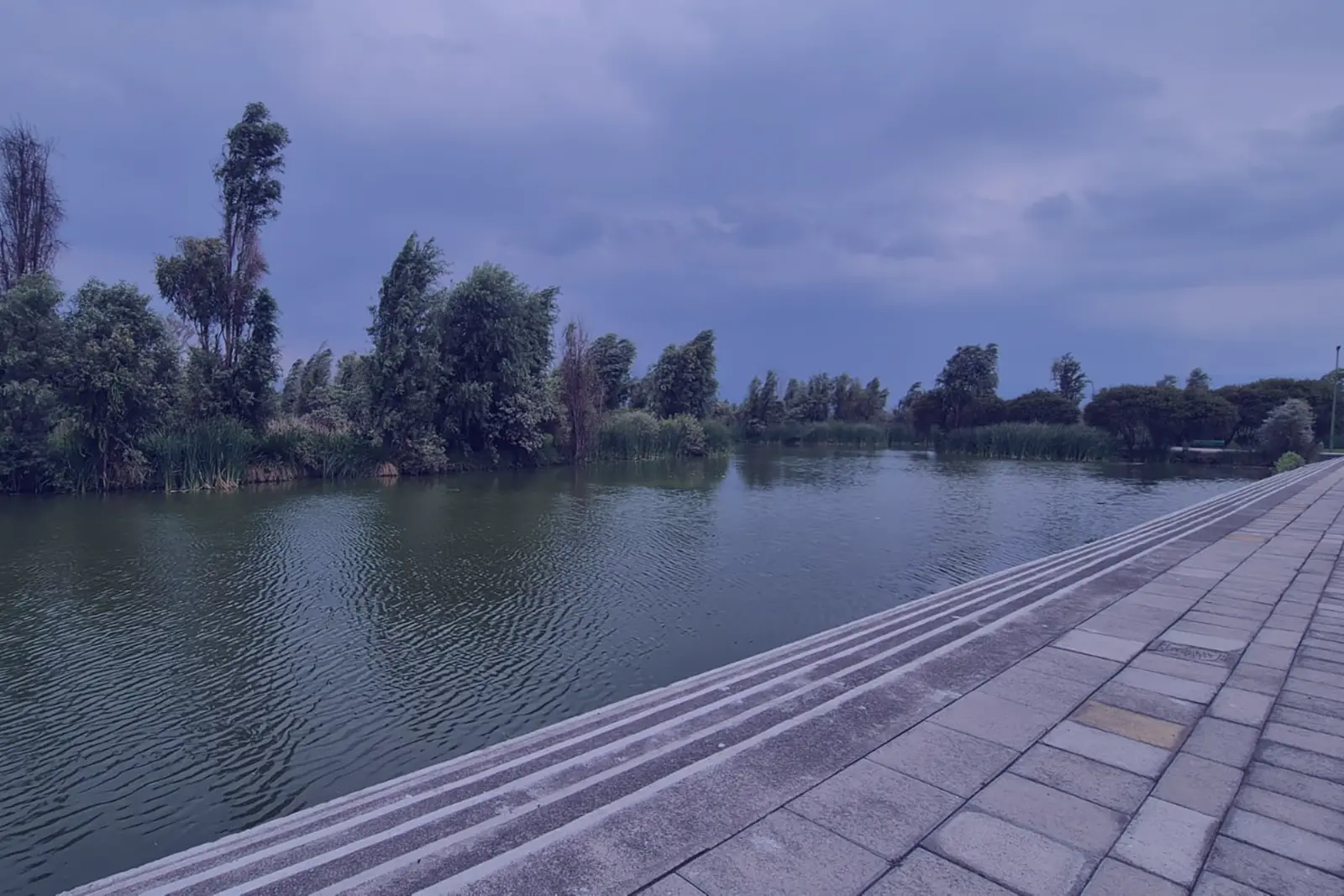 imagen de data tecnológica, vigilancia tecnológica, investigación de mercados tecnológicos, datos tecnología, soy roger, rogelio cejudo