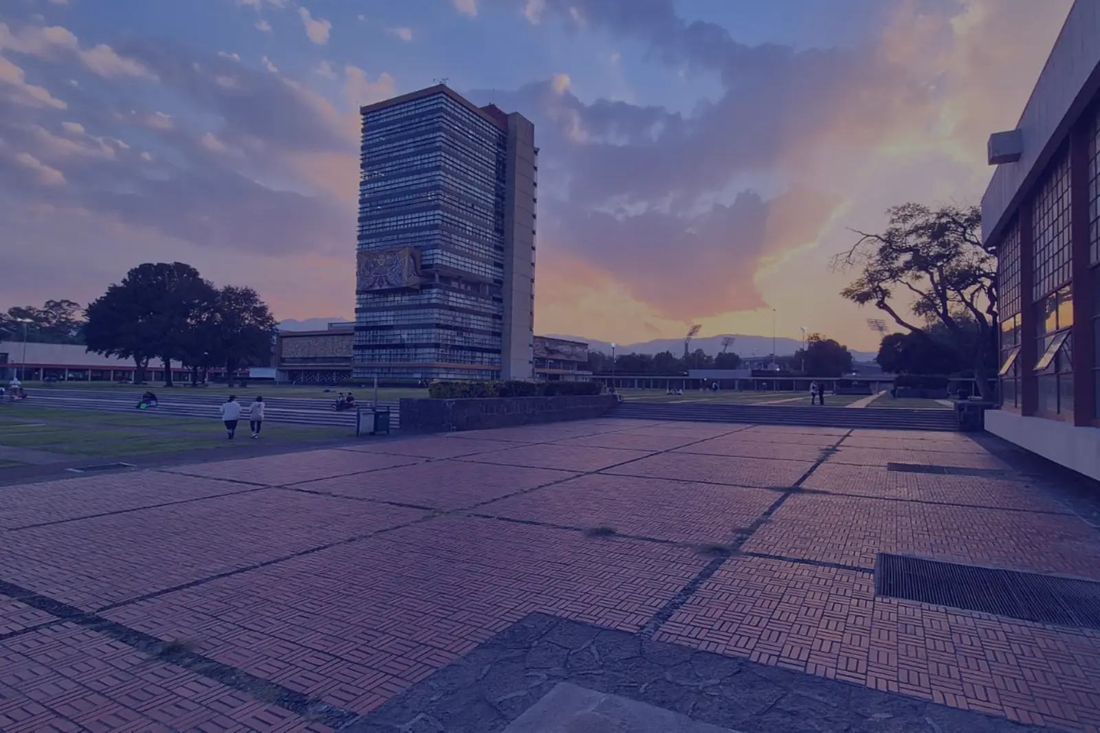 imagen de desarrollo de sitios web con html5, bootstrap, seo ready, soy roger, rogelio cejudo